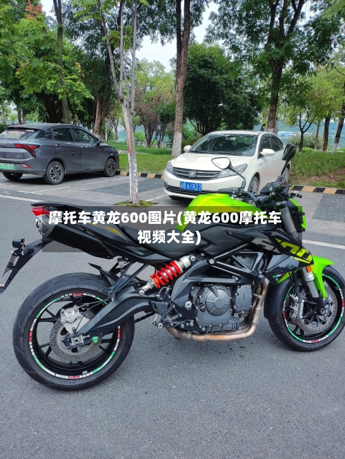 摩托车黄龙600图片(黄龙600摩托车视频大全)