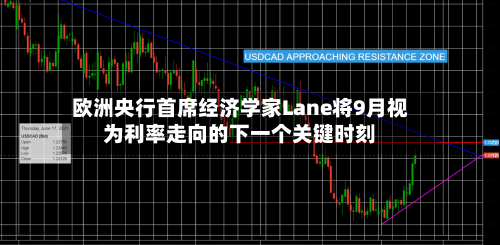 欧洲央行首席经济学家Lane将9月视为利率走向的下一个关键时刻