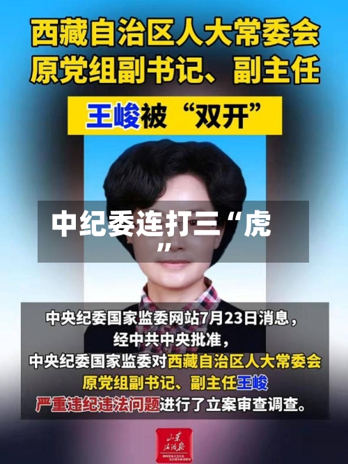 中纪委连打三“虎”-第3张图片
