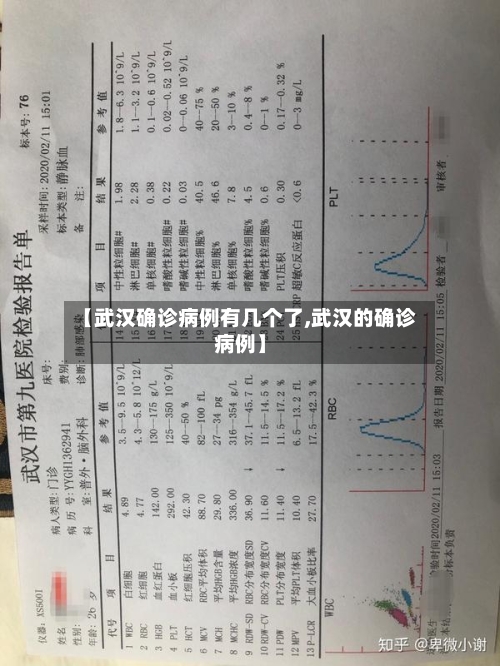【武汉确诊病例有几个了,武汉的确诊病例】