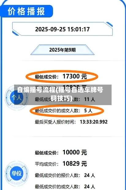 自编摇号流程(摇号自选车牌号码技巧)