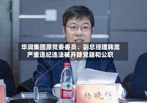华润集团原党委委员、副总经理韩嵩严重违纪违法被开除党籍和公职-第2张图片