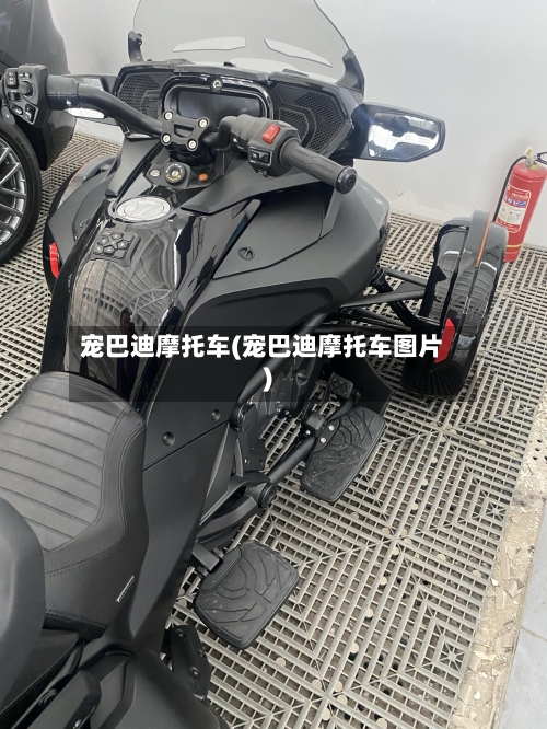 宠巴迪摩托车(宠巴迪摩托车图片)