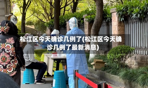 松江区今天确诊几例了(松江区今天确诊几例了最新消息)-第2张图片