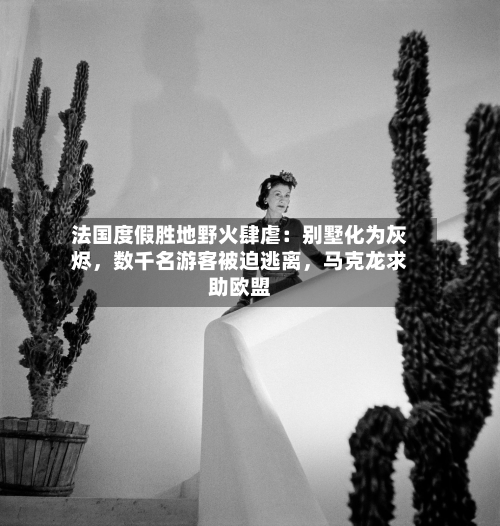 法国度假胜地野火肆虐：别墅化为灰烬，数千名游客被迫逃离	，马克龙求助欧盟-第2张图片