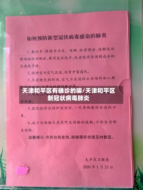 天津和平区有确诊的嘛/天津和平区新冠状病毒肺炎-第3张图片