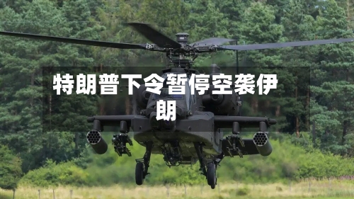 特朗普下令暂停空袭伊朗