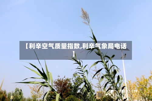 【利辛空气质量指数,利辛气象局电话】-第2张图片