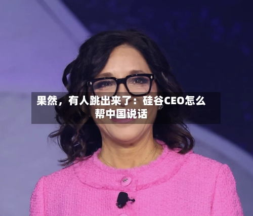 果然，有人跳出来了：硅谷CEO怎么帮中国说话-第2张图片