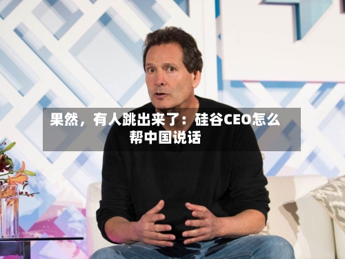 果然，有人跳出来了：硅谷CEO怎么帮中国说话-第3张图片