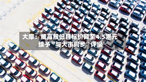 大摩：威高股份目标价降至4.5港元 续予“与大市同步”评级-第1张图片