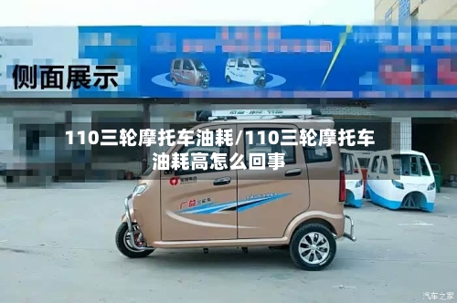 110三轮摩托车油耗/110三轮摩托车油耗高怎么回事-第2张图片