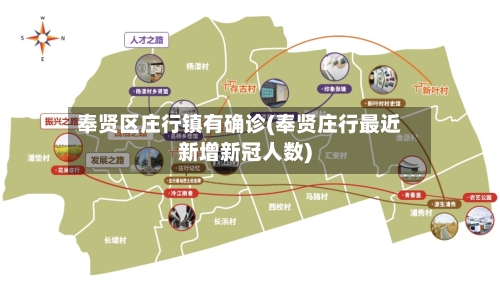 奉贤区庄行镇有确诊(奉贤庄行最近新增新冠人数)