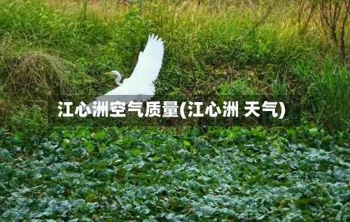 江心洲空气质量(江心洲 天气)-第2张图片