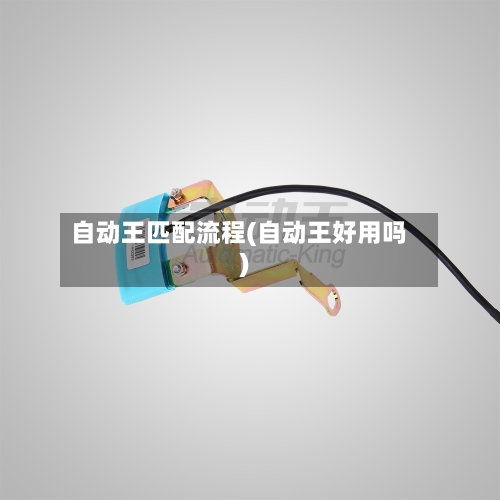 自动王匹配流程(自动王好用吗)