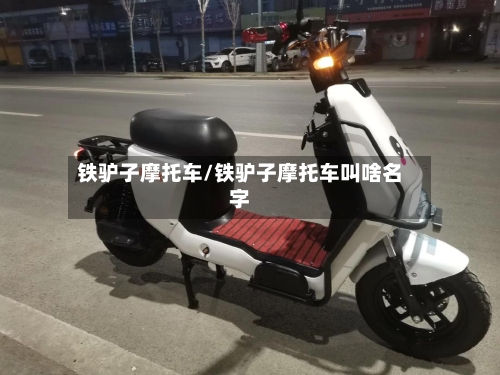 铁驴子摩托车/铁驴子摩托车叫啥名字