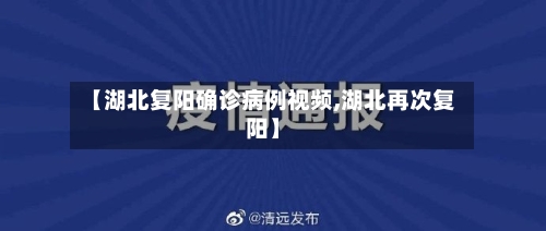 【湖北复阳确诊病例视频,湖北再次复阳】-第2张图片