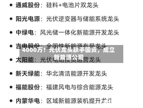 4000万！光伏龙头联手国资	，成立新能源公司-第1张图片