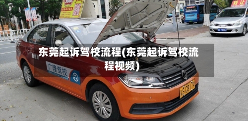 东莞起诉驾校流程(东莞起诉驾校流程视频)