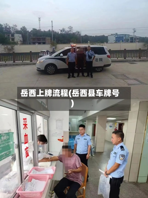 岳西上牌流程(岳西县车牌号)