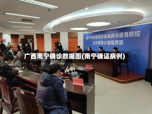 广西南宁确诊数据图(南宁确证病例)