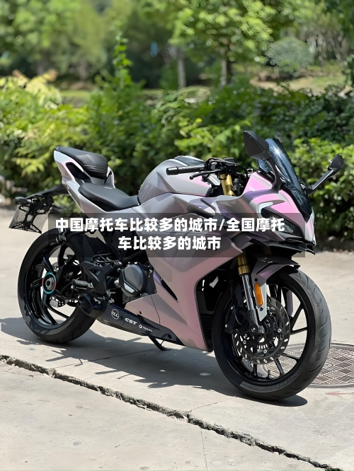 中国摩托车比较多的城市/全国摩托车比较多的城市