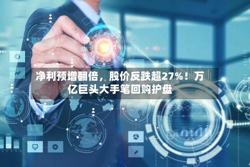 净利预增翻倍，股价反跌超27%！万亿巨头大手笔回购护盘-第2张图片