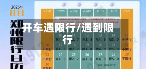 开车遇限行/遇到限行-第3张图片