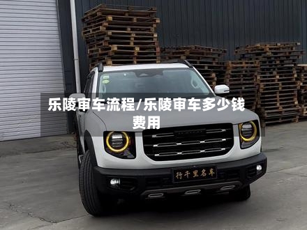 乐陵审车流程/乐陵审车多少钱费用