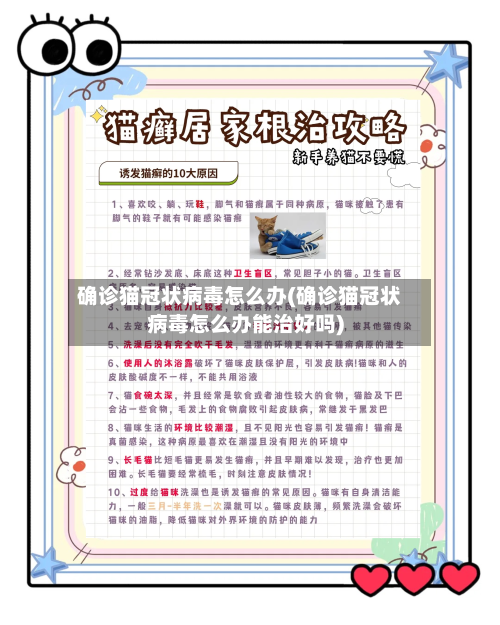 确诊猫冠状病毒怎么办(确诊猫冠状病毒怎么办能治好吗)-第2张图片