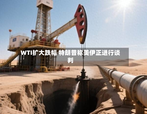 WTI扩大跌幅 特朗普称美伊正进行谈判