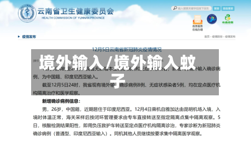 境外输入/境外输入蚊子-第3张图片