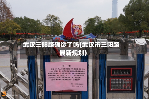 武汉三阳路确诊了吗(武汉市三阳路最新规划)-第2张图片