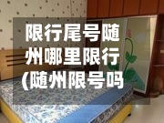限行尾号随州哪里限行(随州限号吗)-第2张图片