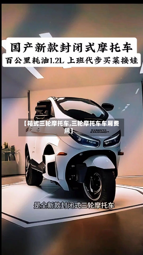 【箱式三轮摩托车,三轮摩托车车厢费用】-第3张图片