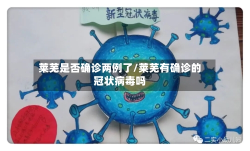 莱芜是否确诊两例了/莱芜有确诊的冠状病毒吗-第2张图片