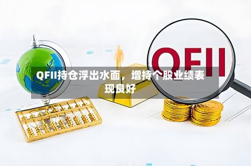 QFII持仓浮出水面，增持个股业绩表现良好-第2张图片
