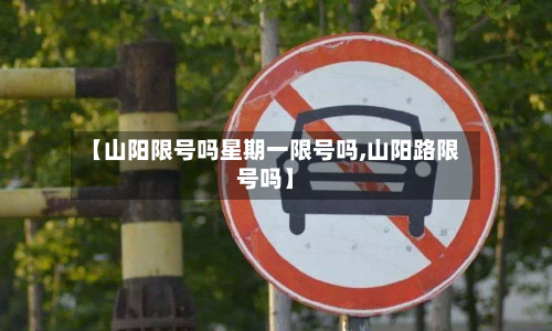 【山阳限号吗星期一限号吗,山阳路限号吗】-第2张图片