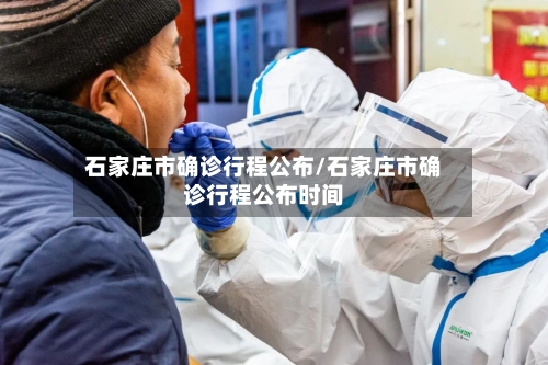 石家庄市确诊行程公布/石家庄市确诊行程公布时间-第2张图片
