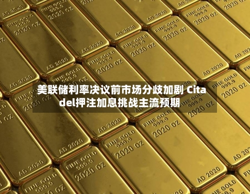 美联储利率决议前市场分歧加剧 Citadel押注加息挑战主流预期-第3张图片